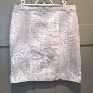Seersucker Skirt